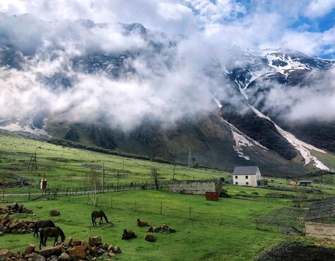 Готель Arte In Kazbegi Екстер'єр фото